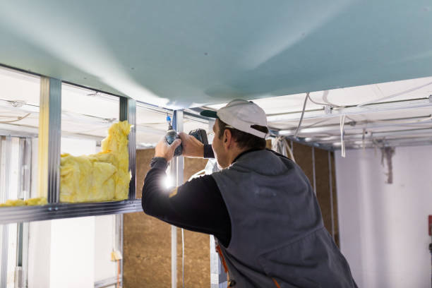 Best Insulation Repair Services  in Pomeroy, OH