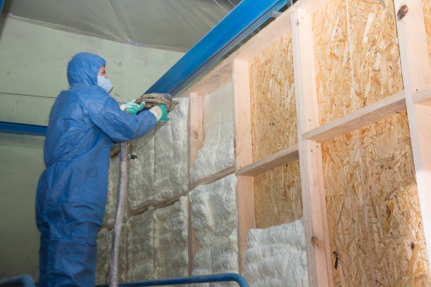 Best Insulation Contractor Near Me  in Pomeroy, OH